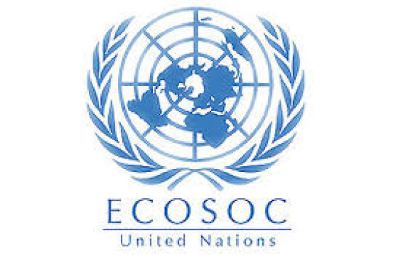 ECOSOC-2019.jpg